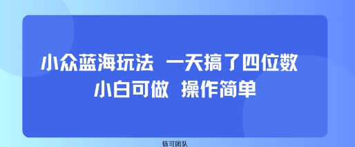 小众蓝海玩法 一天搞了四位数 小白可做 操作简单-北风网赚