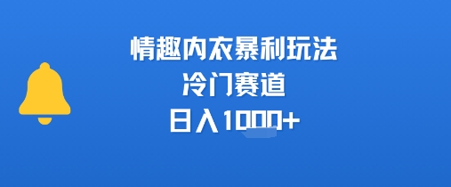 情趣内衣暴利玩法，冷门赛道，日入1k+-北风网赚