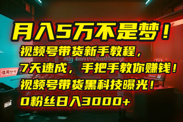 月入5万不是梦！视频号带货新手教程，7天速成，手把手教你赚钱！视频号…-北风网赚