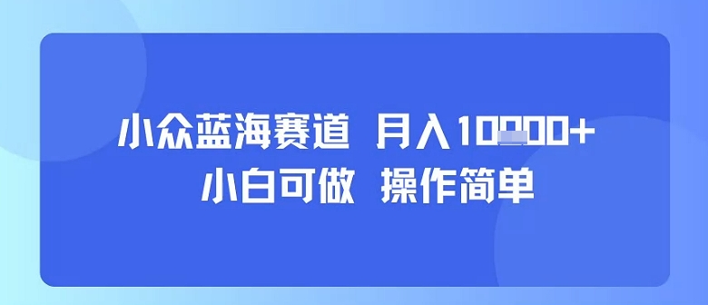 小众蓝海赛道,小白可做,操作简单,每天30分钟,月入1W+