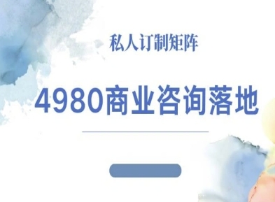 4980商业咨询师落地课程-ip运营高客单教程-北风网赚