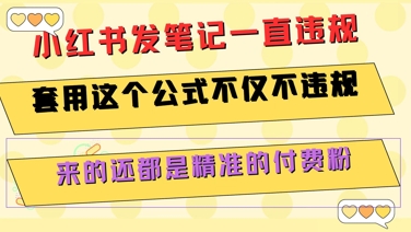 小红书发笔记一直违规,套用这个公式不仅不违规,来的还都是精准的付费粉-北风网赚