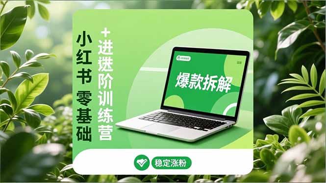 小红书零基础+高阶训练营：安全养号、爆款拆解、长效运营，实现稳定涨粉与变现-北风网赚