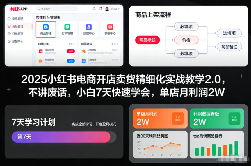 2025小红书电商开店卖货精细化实战教学2.0，不讲废话，小白7天快速学会，单店月利润2W-北风网赚