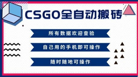 CSGO全自动搬砖,年底钱回家好项目,当天可拿到结果,新手小白轻松月入1W+【揭秘】-北风网赚