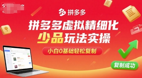 拼多多虚拟精细化少品玩法实操,小白0基础轻松复制-北风网赚