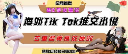 海外tiktok小说推文暴力项目，高停留率，高转化率，上手后一天搞顿饭钱不是问题-北风网赚
