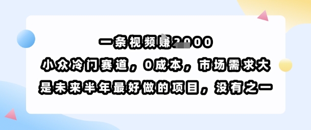 一条视频挣1k,小众冷门赛道,0成本,市场需求大,是未来半年最好做的项目,没有之一-北风网赚