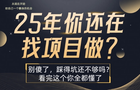 25年,你还在疯狂的找项目吗?别傻了,看完这个你都懂了【揭秘】-北风网赚