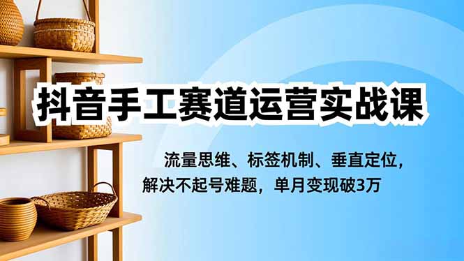 抖音手工赛道运营实战课,流量思维、标签机制、垂直定位,解决不起号难题,单月变现破3万-北风网赚