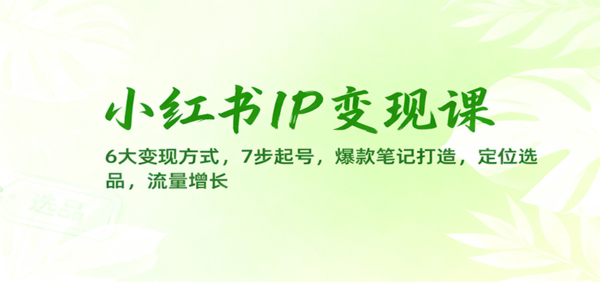 小红书IP变现课:6大变现方式,7步起号,爆款笔记打造,定位选品,流量增长-北风网赚