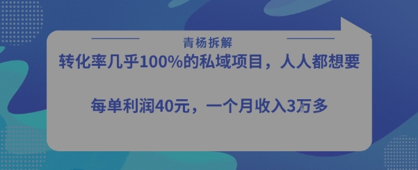 转化率最高的私域项目，每单利润40-50米，月入过1w-北风网赚