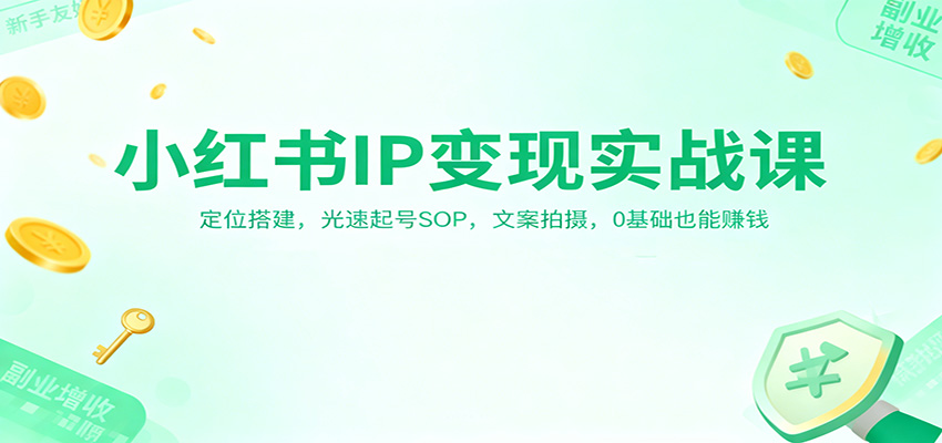 小红书IP变现实战课：定位搭建，光速起号SOP，文案拍摄，0基础也能赚钱-北风网赚