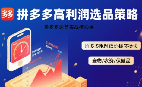 拼多多选品暴利技术实战课,拼多多高利润选品策略,拼多多限时低价标签秘诀-北风网赚