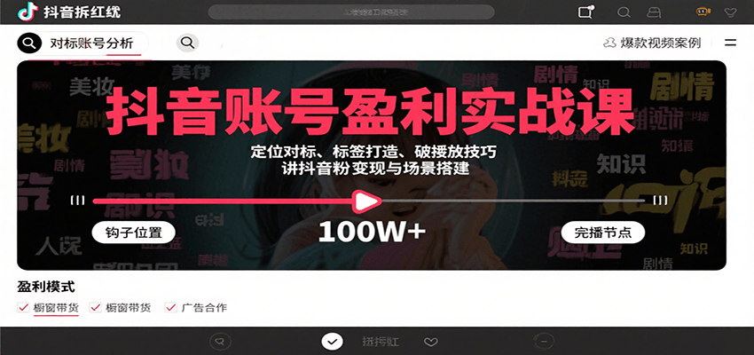 抖音账号盈利实战课,定位对标、标签打造、破播放技巧,讲涨粉变现与场景搭建-北风网赚