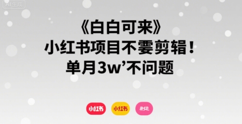 小白可来 小红书项目不需要剪辑 单月3w不是问题-北风网赚