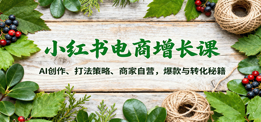 小红书电商增长课:AI创作、打法策略、商家自营,爆款与转化秘籍-北风网赚