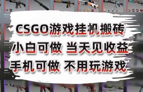 CSGO游戏挂G搬砖，小白纯手机即可操作，不用电脑打游戏，日入3张+，副业网创项目【揭秘】-北风网赚