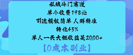 私域冷门赛道:单个收费198米引流模板简单人群精准转化45%单人一天大概收益是1k+-北风网赚