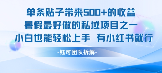 单条贴子带来5张的收益，暑假最好做的私域项目之一，小白也能轻松上手，有小红书就行-北风网赚