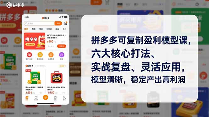 拼多多可复制盈利模型课，六大核心打法、实战复盘、灵活应用，模型清晰，稳定产出高利润-北风网赚