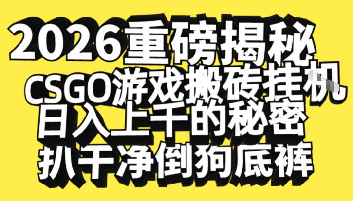 2026开年重磅解密，CSGO游戏搬砖挂G日入1k+的秘密，把倒狗的底裤扒干【揭秘】-北风网赚