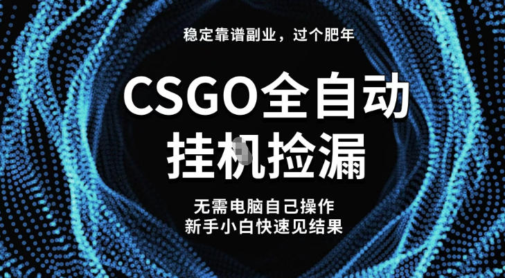 【稳定副业】全球最热门游戏CSGO全自动捡漏,最新玩法,新手小白日入5张+【揭秘】-北风网赚