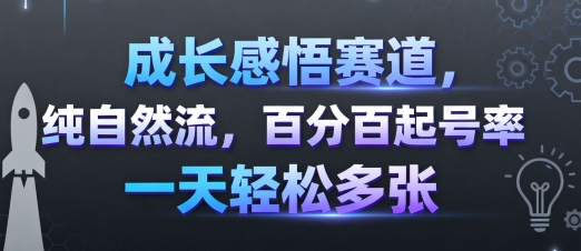 成长感悟赛道,纯自然流,百分百起号率 一天轻松多张-北风网赚