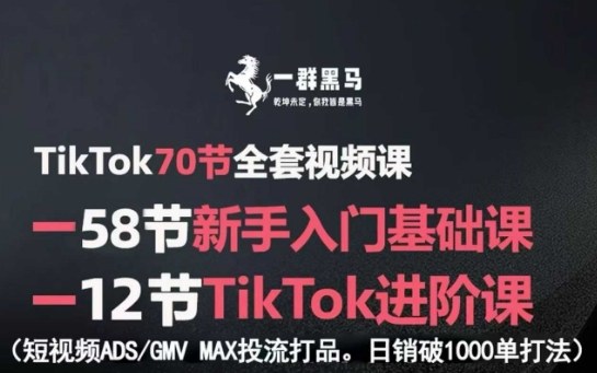TikTok全套视频课，新手入门+进阶课，短视频ADS-GMV MAX投流打品，日销破1000单打法-北风网赚