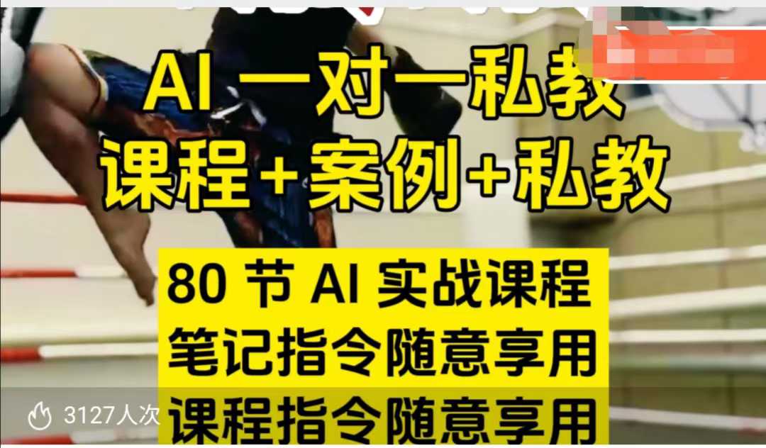 AI指令实战课,课程+案例,80节AI实战课程,笔记指令随意享用,课程指令随意享用(更新7月)-北风网赚