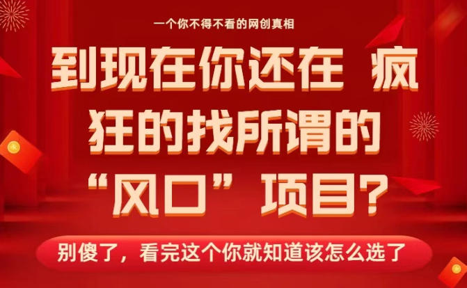 马上26年了,你还在找所谓的风口项目?别傻了,看完这个你全都懂了!【揭秘】-北风网赚