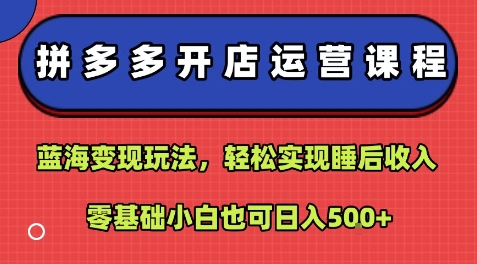 拼多多开店运营课程：蓝海变现玩法，轻松实现睡后收入，零基础小白也可日入5张-北风网赚
