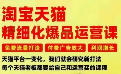 淘宝天猫精细化爆品运营课,免费流量打法-付费广告放大-利润增长-三大核心痛点,一次全部解决-北风网赚