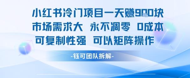 小红书冷门项目一天收益9张,市场需求大,0成本,可复制性强可以矩阵操作-北风网赚